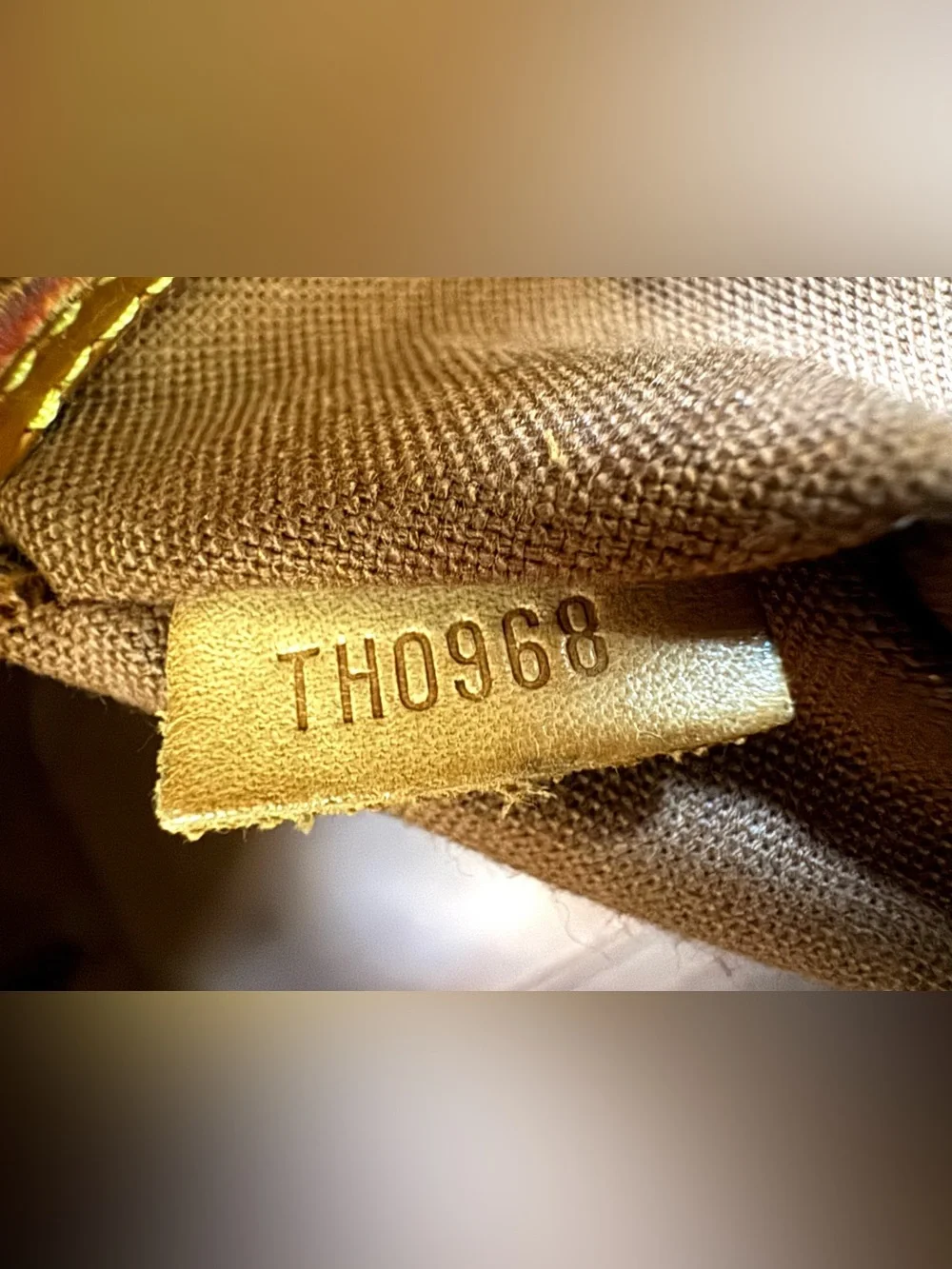 Louis Vuitton authentic louis